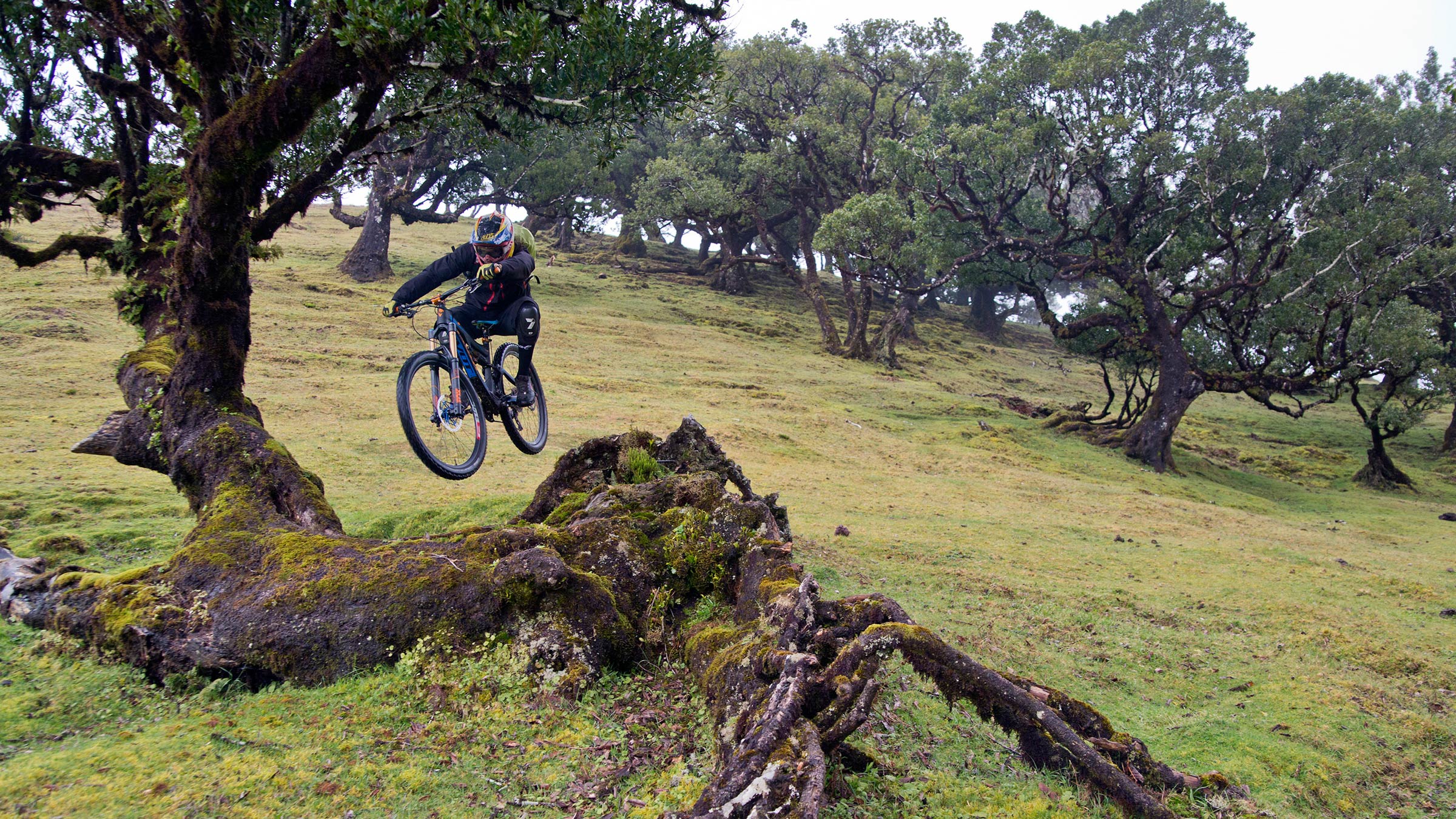 Sascha Bamberg springt mit seinem Bike über einen umgestürtzen Baum.